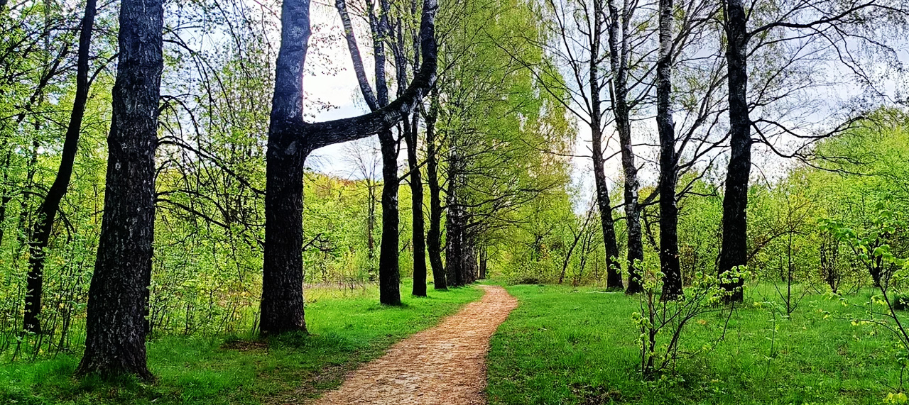 парк Обороны Тулы